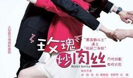 玫瑰炒肉丝电视剧,爱恨交织的美食情缘